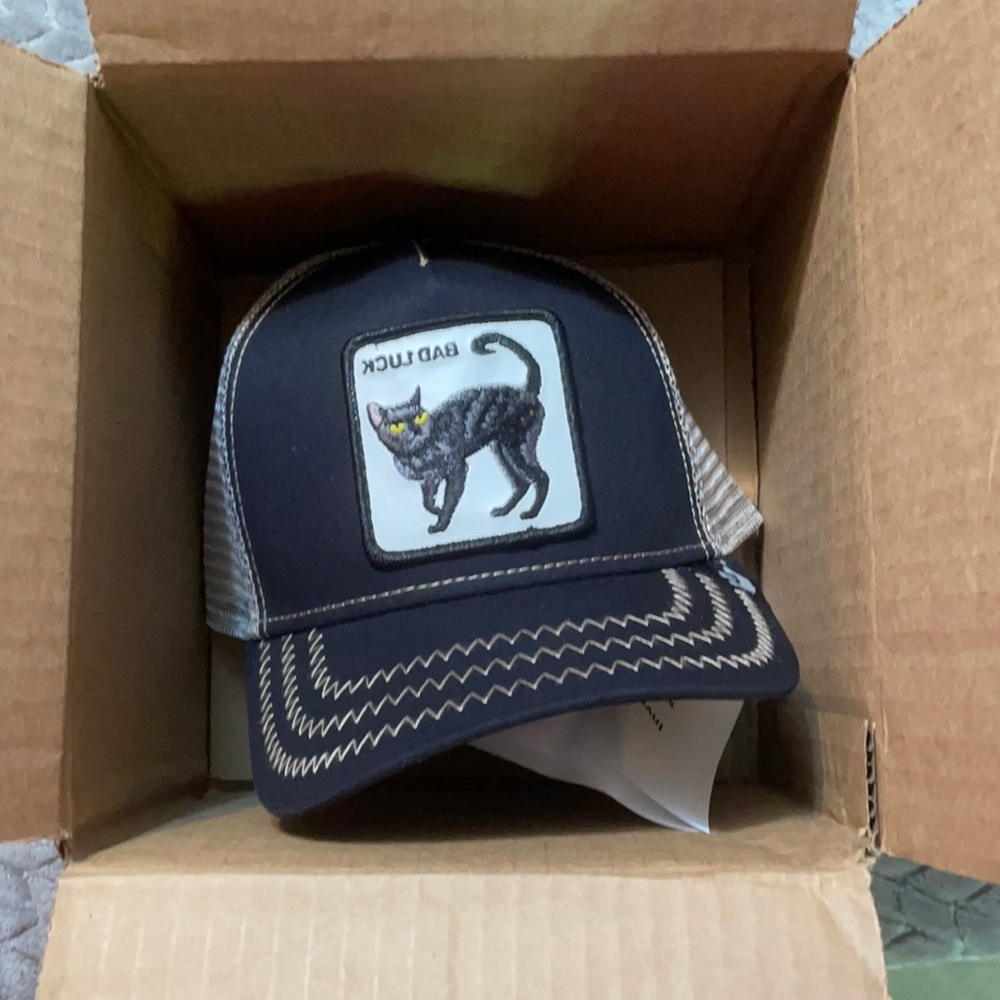 Goorin brothers bad luck cat hat